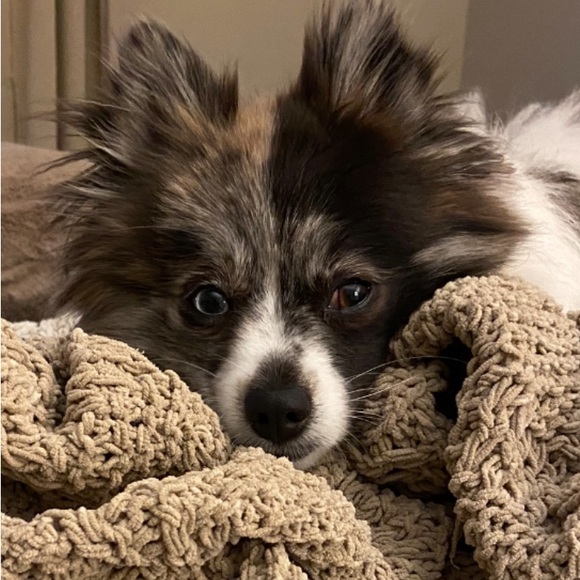 Meet your Posher - Picture 4 of 8